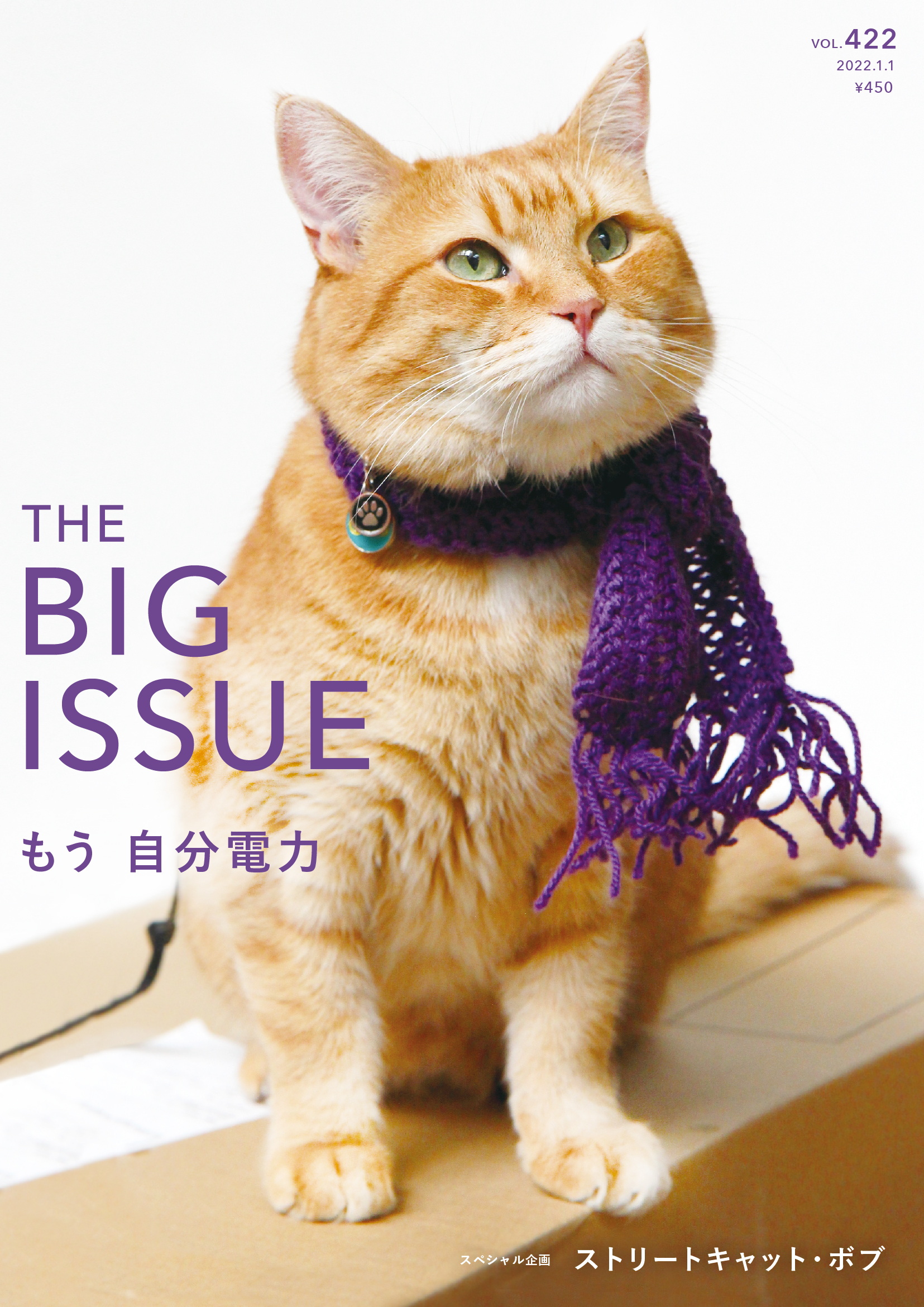 映画 ボブという名の猫 公式写真集 WE LOVE ボブ！ 絶版 入手困難 8/26 
